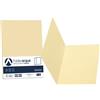 FAVINI 50 cartelline semplici ACQUA 200gr 25x34cm camoscio FAVINI