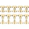 QUARKZMAN 10pz Viti Chicago in Ottone, 4x5x10mm Fissaggio Rivetti Borchie Chiodi Vite Testa Piatta con Struttura Floreale Cinturino da Cintura Artigianale in Pelle Fai-Da-Te