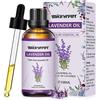 MIGCAPUT Olio Essenziale di Lavanda 100ML, Olio di Lavanda di Grado Terapeutico, 100% Naturale Oli Essenziali di Aromaterapia per Diffusori, Umidificatore, Massaggi, Relax, Aiutare a Dormire