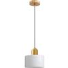 HJXDtech Mini Lampada a Sospensione in Vetro con Finiture Oro & Cavo Regolabile 200cm, Moderno Lampadario Sospeso da Soffitto E27 per Cucina, Sala da Pranzo, Camera da Letto (Bianco Lucido, 20cm)