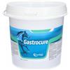 Gastrocure Secchiello 2,6 Kg
