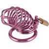 BDSMYEE Chastity cage in Acciaio inossidabile, Gabbia di castità uomo per Prevenire L'erezione, cock cage male chastity gabbietta di castità bondage slave sex toys (Φ50MM)
