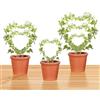 Fnaobai Hoya - Set di tralicci di 3 dimensioni per piante da interno, supporto per fiori, rotondi o a forma di cuore, in metallo, accessori da giardino per piccole piante rampicanti in vaso (dorato)