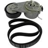 SKF VKMA 32040 Kit Multi-V | Compatibile con: FIAT 500, 500 C, BRAVO II, IDEA, PANDA, PANDA, PANDA Kasten/Schrägheck, PUNTO, PUNTO Kasten/Schrägheck