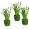 Flair Flower Margherite artificiali nel nido d'erba, 20 cm, set di 3 fiori artificiali, margherite, cespuglio di erba, decorazione pasquale, fiori primaverili, decorazione primaverile, decorazione per la