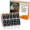 Starlet24 5x 580XL PGBK Cartucce per Canon PGI-580 PGBK XXL Nero Compatibile con Canon Pixma TR8550 TR8500 TS6350a TS705a TS6350 TS8350 TS8250 TS6150 TS9550