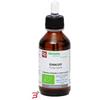 FITOMEDICAL SRL GINKGO BILOBA MACERATO GLICERICO 100 ML BIO