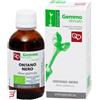 FITOMEDICAL SRL ONTANO NERO MACERATO GLICERICO 50 ML BIO