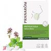 HERBALGEM ITALIA SRL PRANAROM AROMAFORCE GOLA 21 PASTIGLIE MASTICABILI