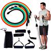 Set di Elastici Palestra 5 Livelli di Resistenza Max 13,6 Kg in Gomma