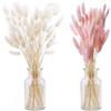 Ltsbaed Fiori Secchi Decorativi Ltsbaed 50 Pezzi Erba Della Pampa Essiccata Naturale DIY Erba Coda di Coniglio Bouquet di Pampa Naturale per Composizioni Floreali Matrimonio Decorazione Casa(Rosa+Bianco)