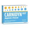 ALFASIGMA SpA Carnidyn Fast Magnesio E Potassio 20 Bustine