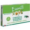 Recordati spa Eumill gocce oculari rinfrescanti e lenitive 10 da 0,5ml