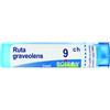 BOIRON GRANULI Boiron Ruta Graveolens 09Ch Tubo 80 Granuli 4G