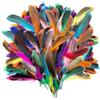 MHYMX Piume Decorative, 100 Pezzi Piume Colorate Piume Naturali Colorate per Matrimoni Acchiappasogni Accessori per Capelli Maschere Artigianato Scolastico