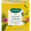 Neavita - Filtroscrigno Ananas e Agrumi Infuso Rivitalizzante e Vivace Confezione 15 Filtri
