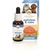 BUSH BIOTHERAPIES Pty Ltd AGITATION & CALM 30ML