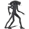 NECA ALIEN Romulus Xenomorph Xx121 Ultimate Version Action Figure Movie 2024 Neca