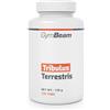 GymBeam Tribulus Terrestris Estratto Potente - un Aiuto a Favore del Testosterone, 1200mg per Dose, per l'Uomo, 90% di Saponine Steroidee, Aumenta Forza e Prestazioni Atletiche (120 tab)