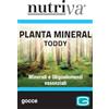 CABASSI & GIURIATI SpA NUTRIVA PLANTA MINERAL TODDY 50 ML