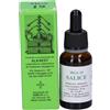 Alkaest Mgs19 Salice Mg Spg soluzione spargirica gocce 20ml