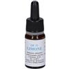 Alkaest Qe11 Limone gocce quintessenza spargirica 10ml