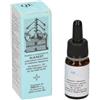 Alkaest Quintaessenza Qe15 Pino 10ml