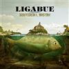 Luciano Ligabue - Arrivederci, Mostro! (CD, Album, 2010)