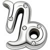 WEIMU Charm con segno zodiacale per bracciale, in argento sterling 925, con 12 costellazioni, per San Valentino, festa della mamma, per braccialetti europei, m, Argento sterling, Zirconia cubica