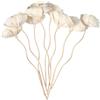 Angoily 8Pcs Diffusore Bastoni di Legno di Rosa del Fiore del Rattan Olio Essenziale Diffusore di Aroma Bastoni per Fragranze per La Casa