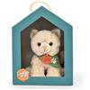 HISTOIRE D'OURS - Piccolo peluche gatto beige SPA - 16 cm - Peluche Gattino morbido da adottare con scatola - Partnership SPA - Idea regalo solida per bambini e adulti - SPA-CHATBEIGEMM