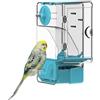 septillar Mangiatoia automatica per uccelli, mangiatoia per gabbia per uccelli con trespolo supporto multifunzionale per frutta e verdura per parrocchetto canarino calopsitta fringuello (Blu)