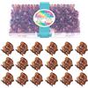 HOYOLS Mini Mollette per Capelli, Piccole Mollette a Pinza Marroni 48 Pezzi