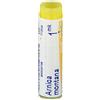 LABORATOIRES BOIRON S.R.L. Arnica Montana Mk Diluizione Korsakoviana In Globuli