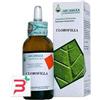 ARCANGEA SRL CLOROFILLA SOLUZIONE IDROALCOLICA 50 ML