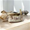 Vendo per 5 x Rams Ram's Horn Shofar 12-14" Clear Sound Shofars Jewish Polis