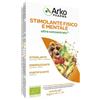 ARKOFARM Srl ARKOFLUIDI STIMOLANTE FISIC10F