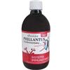 Sygnum Phyllantus integratore liquido per difese immunitarie 500 ml
