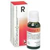 DR.RECKEWEG Dr. Reckeweg R48 Gocce Orali Omeopatiche 22 ml
