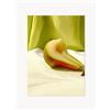 Paper Collective Poster Pear