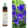 ALCHIMIA BENOIT Srl Fiori Di Bach 12 GENTIAN BENOIT® 10ml