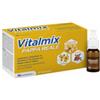 MONTEFARMACO OTC SPA Integratore Ricostituente Vitalmix Pappa Reale 10 Flaconcini X10 Ml Senza Glutine E Lattosio