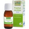 BOIRON SRL Fraxinus Exc Boiron Macerato Glicerico 60 Ml