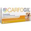 SHEDIR PHARMA SRL UNIPERSONALE Carfogil 30 Compresse