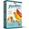 Padovan Canarini Grandmix 400 Gr