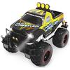 Dickie Toys 201119455 - Modellino radiocomandato di Ford F150 Mud Wrestler, batterie Incluse, 30 cm