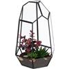 Relaxdays Terrario Piante, Mini Serra Vetro e Zinco, HLP 25x17x15 cm, Piantine Grasse e Muschi, Vaso Ecosistema, Nero