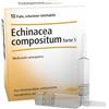 FDI_T547 Echinacea comp s 10f ft heel