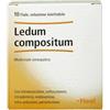 Ledum comp 10f 2,2ml heel