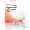 Hypophysis suis inj 10f heel
